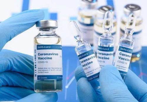 南湾圣克拉拉县向加州政府提交疫苗计划 疫苗到了先给谁注射？